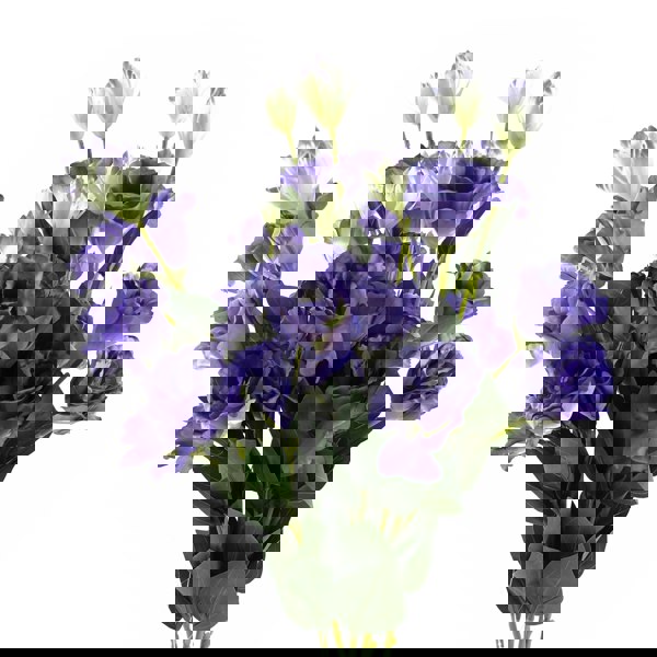 Leaf Pack of 6 x 80cm Artificial Purple Wild Rose Stem - 36 Flowers