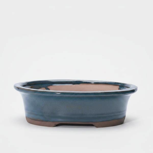 Yorkshire Bonsai 26cm Glazed Bonsai Pot | Oval | 26cm x 21cm x 7cm | Blue