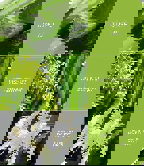 Bamboo & Ginger Lily - Large Bamboo Fragrance Diffuser