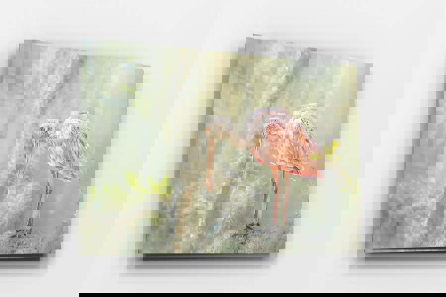 Fernlight Gallery The Gentle Watcher