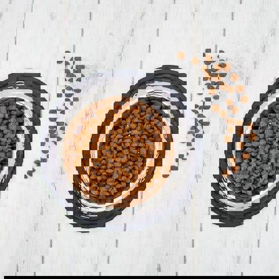 Clinivet Adult Light Dog Food