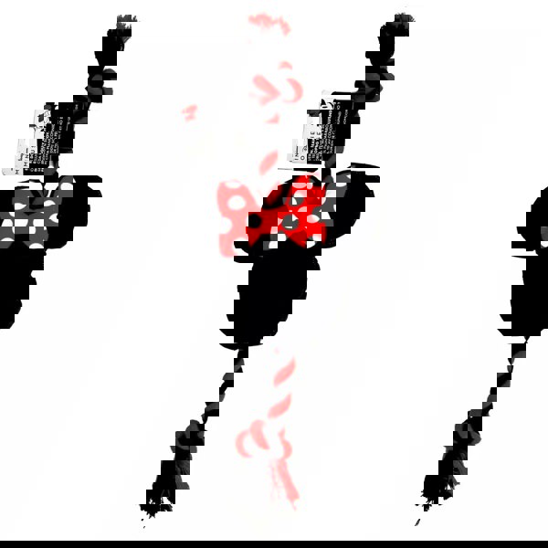 Cerda | Minnie Mouse Squeaky Plush and Rope Dog Toy Ends