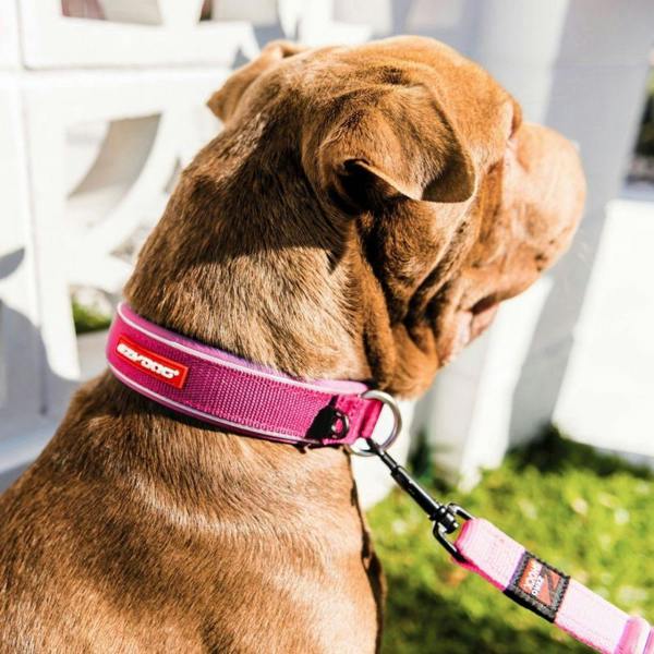 EzyDog Neo Classic Dog Collar in Pink