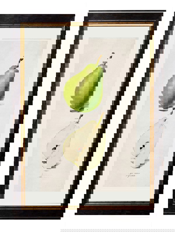 Exceptional Art c.1886 Studies of Fruit
