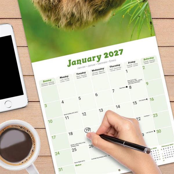 Sloths Calendar 2027, Wall Calendars, Month To View, Animals, Gift