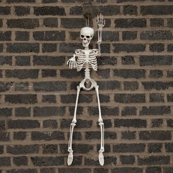 Samuel Alexander 3ft (90cm) Posable Full Body Halloween Skeleton Decoration with Movable Joints