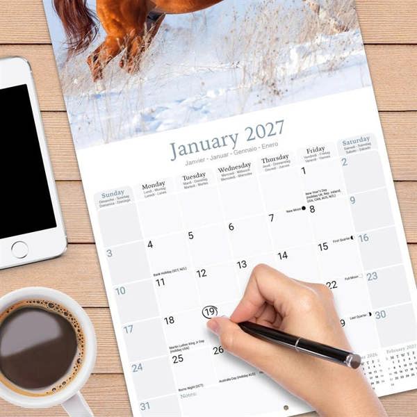 Arabian Horses Calendar 2027, Wall Calendars, Month To View, Animals, Gift