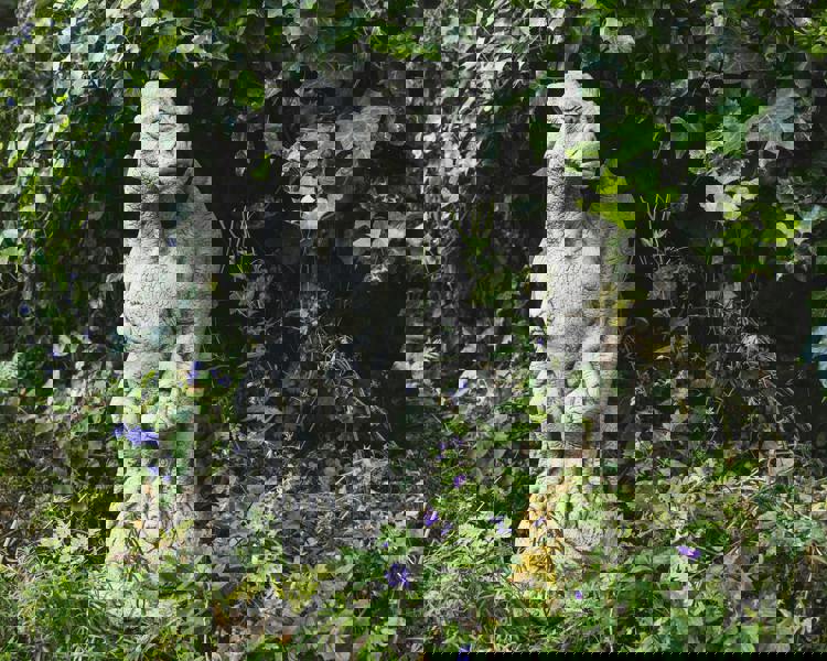 Stone Cast Gatekeeper Dragon Gargoyle Statue