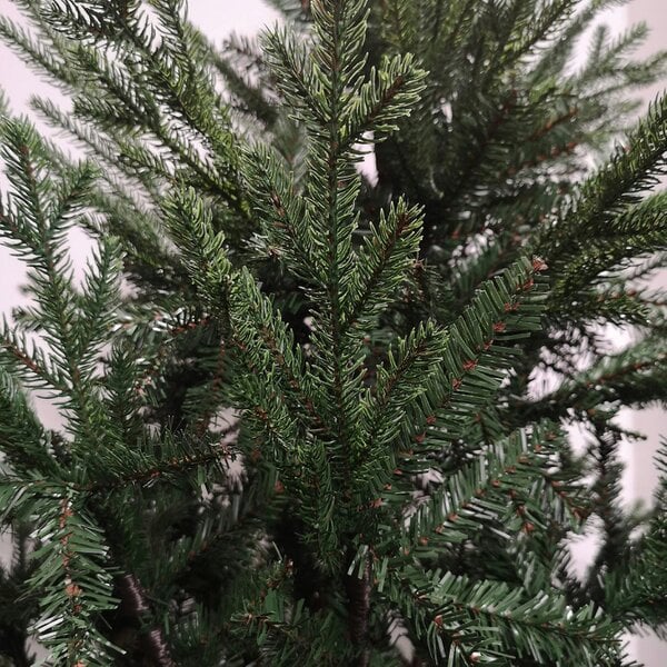 Samuel Alexander 7ft 210cm Green Glenshee Spruce Artificial Christmas Tree PE and PVC Mix Natural Look