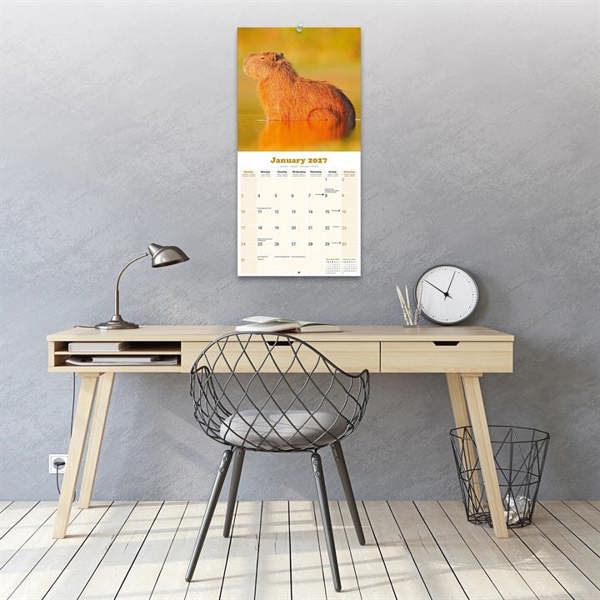 Capybara Calendar 2027, Wall Calendars, Month To View, Animals, Gift