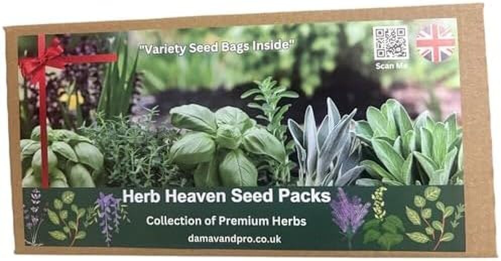 DamavandPro Herb Seeds Kit: 15 Variety Culinary Collection: Indoor & Outdoor Garden