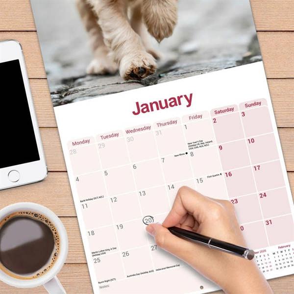 English Cocker Spaniel Calendar 2027, Wall Calendars, Month To View, Dogs, Gift