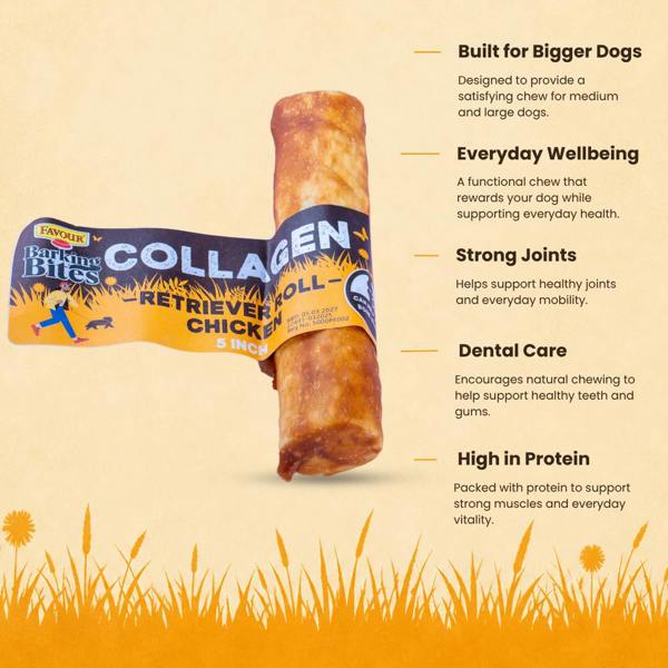 Favour Collagen Chicken 5" Retriever Rolls 55g