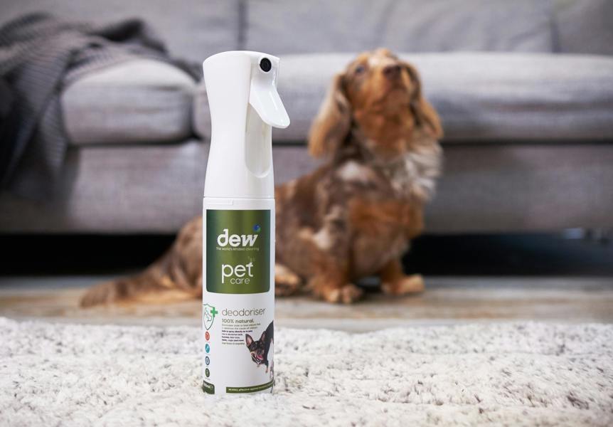 dew pet care