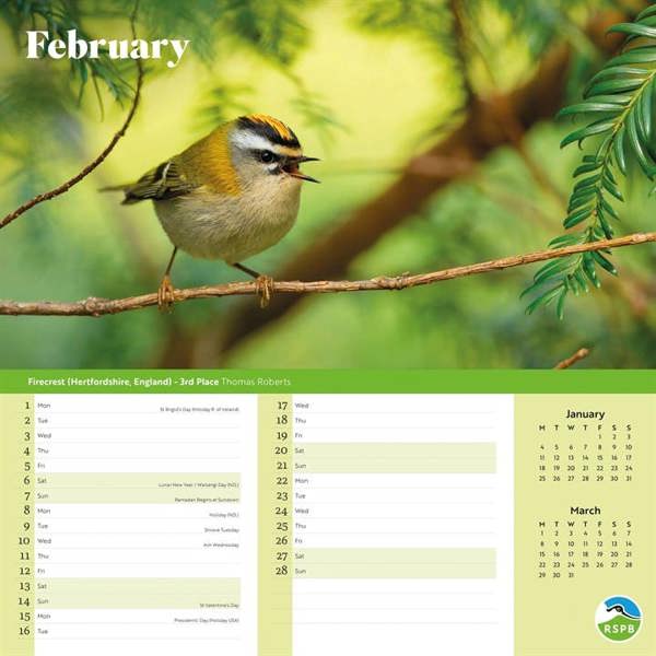 RSPB, Inspiring Nature Calendar 2027, Wall Calendars, Month To View, Animals, Gift