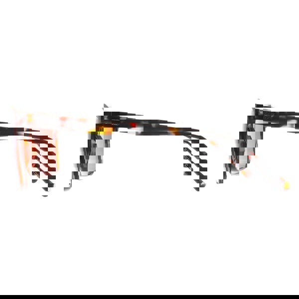 Barbour Sunglasses 3014 102 Havana Brown