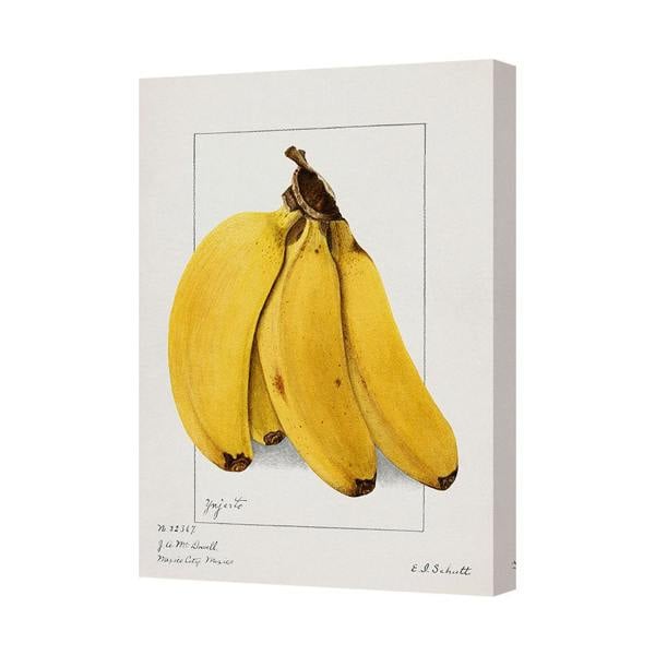 Benjamin Tate Design Banana Canvas Print Contemporary Yellow Bananas Gallery Wrapped UK Handmade