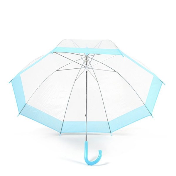 Blue Stripe Clear Dome Umbrella Under Canopy