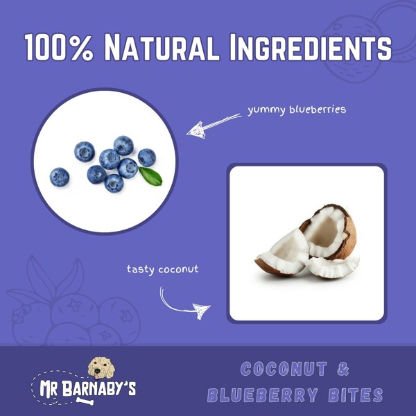 Mr Barnaby’s Coconut & Blueberry Bites (4 Pack)