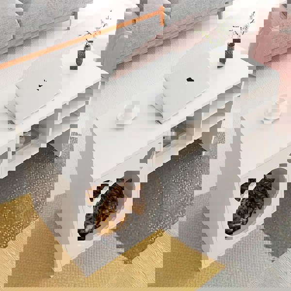 Marioni Coffee Table With Pet House, Wood-Weilai Concept-Weilai Concept