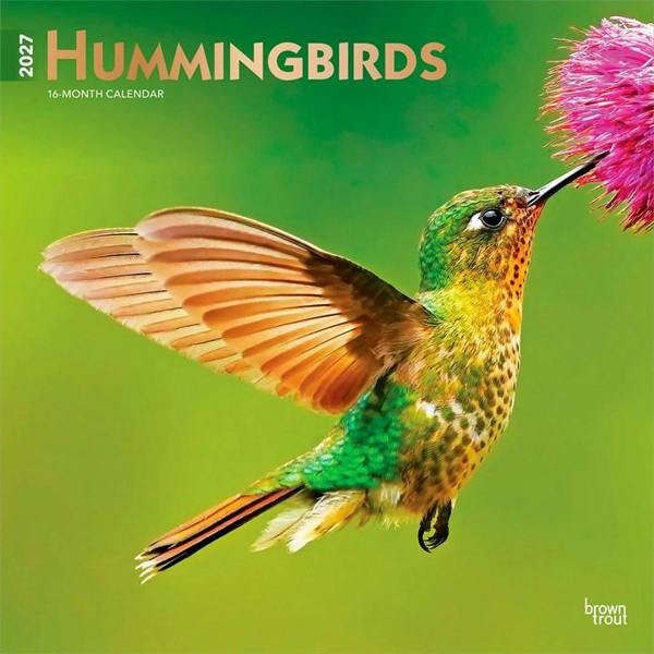 Hummingbirds Calendar 2027, Wall Calendars, Month To View, Animals, Gift