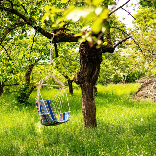 Amazonas Palau Ocean Hanging Chair