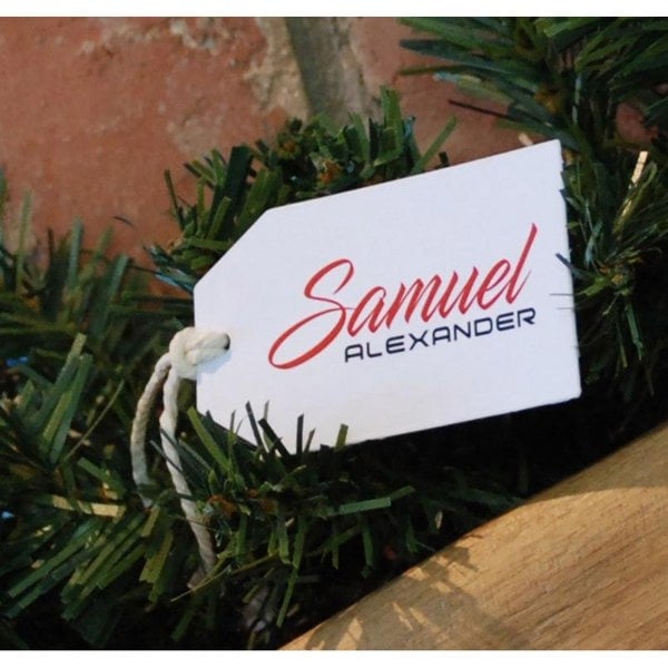 Samuel Alexander 270cm (9ft) x 25cm Snow Tipped Green Christmas Garland Decoration for Stairs, Fireplaces, Wall, Door