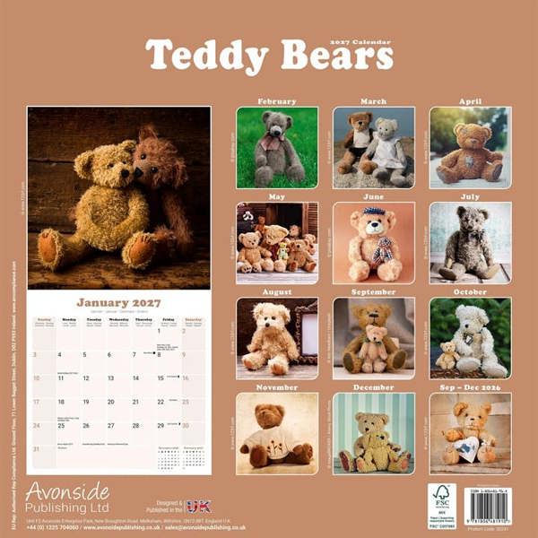 Teddy Bears Calendar 2027, Wall Calendars, Month To View, Family, Gift