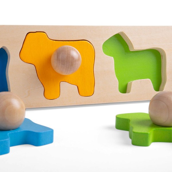 Bigjigs Toys Animal Matching Board