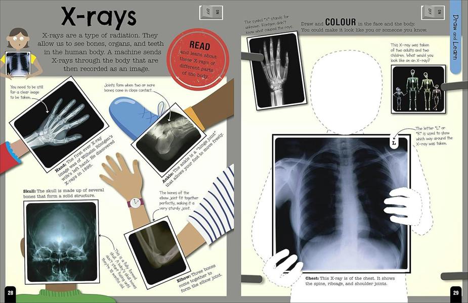 The Fact-Packed Activity Book: Human Body by DK