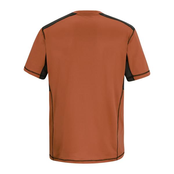 Regatta Mens Virda T-Shirt - Brick/Black - 