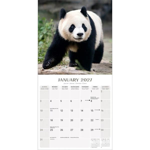 Pandas Calendar 2027, Wall Calendars, Month To View, Animals, Gift