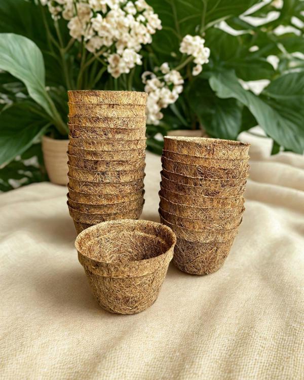 CoirProducts Coir Pots | Biodegradable Coir Plant Pots for Seedlings & Transplants