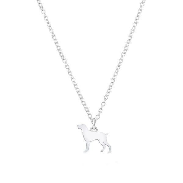 Slovakian Rough Haired Pointer Silhouette Silver Necklace - Personalised - MYLEE London