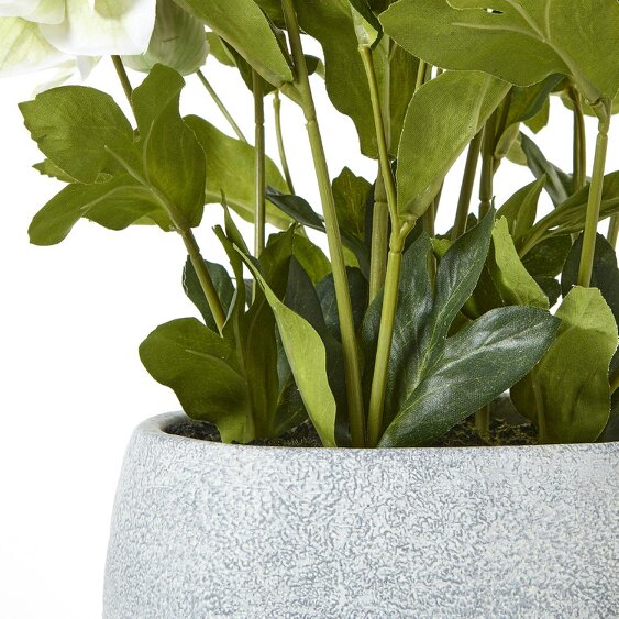 Wyld Haus Artificial Plant White Hellebore Plant In Grey Ceramic Pot