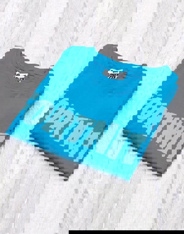 Fortnite Boys Blue Battle Royale Short Sleeved T-Shirt