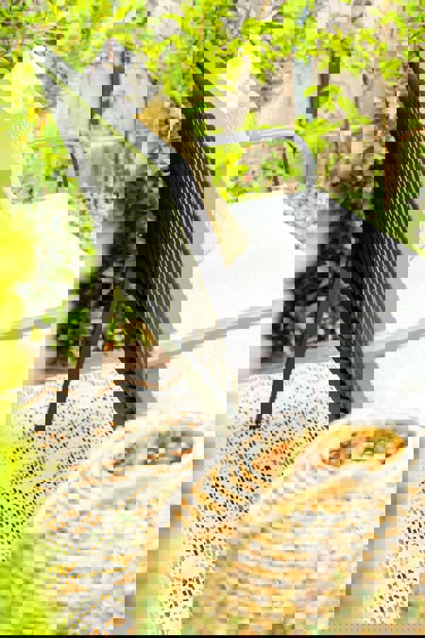 Garden Impressions Bruno Bench