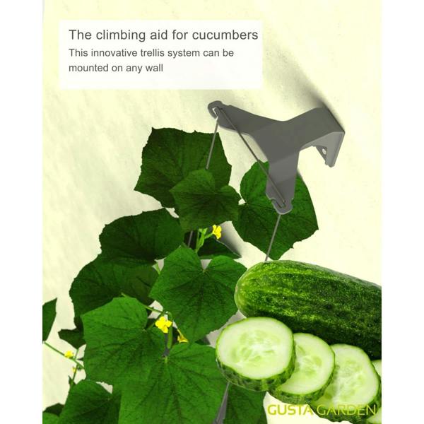 CURT CUCUMBER cucumber planter with water tank