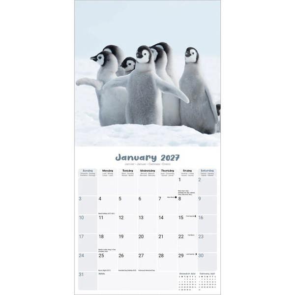 Baby Animals Calendar 2027, Wall Calendars, Month To View, Animals, Gift