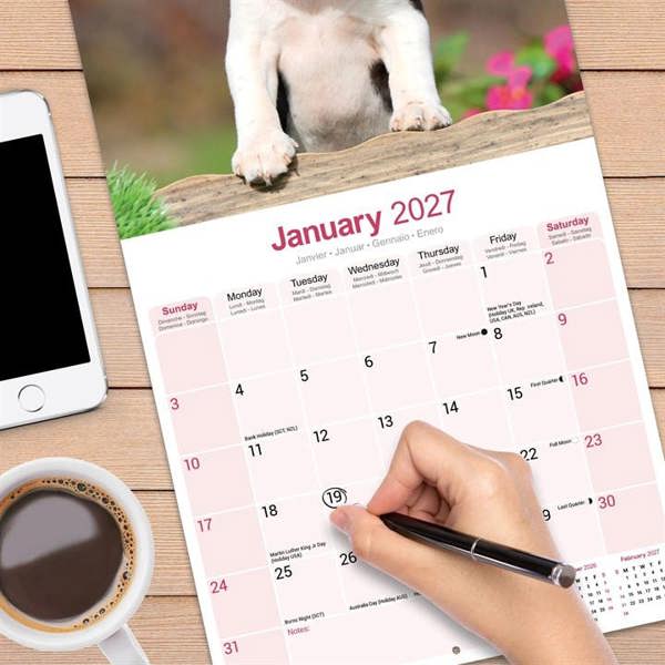 Boston Terrier Calendar 2027, Wall Calendars, Month To View, Dogs, Gift