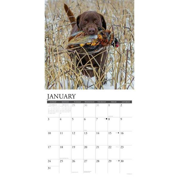 Hunting Labs Calendar 2027, Wall Calendars, Month To View, Dogs, Gift
