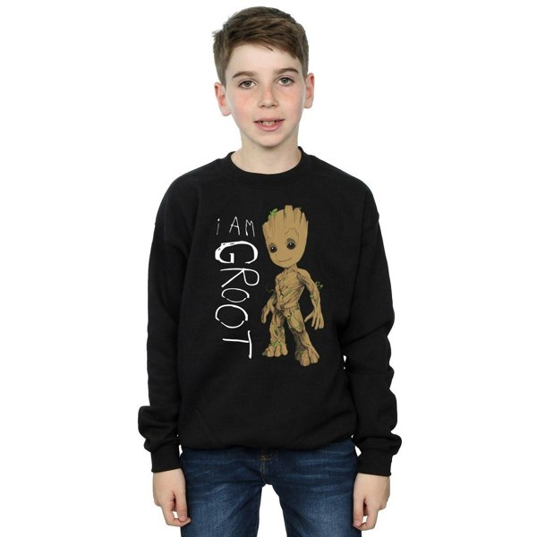 Marvel Boys Guardians Of The Galaxy I Am Groot Scribbles Sweatshirt - Black