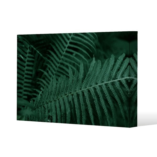 Benjamin Tate Design Plants background. Biophilia trend Slim Style Canvas Print  90x120cm , 15mm Slim Real wood.
