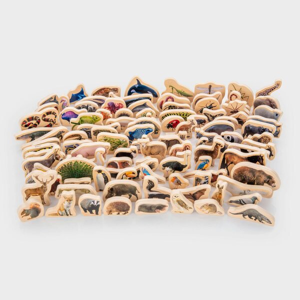 tickit Wooden Animal Blocks Bundle