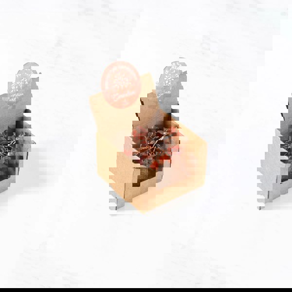 Myga Gem Trees - Singles