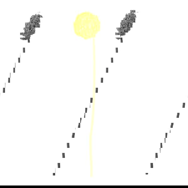 Hill Interiors Allium Stem Artificial Plant - Green - 