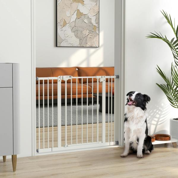 Pet Gate