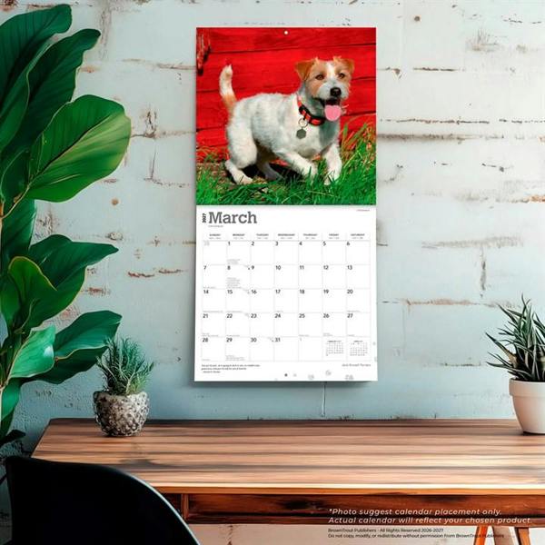 Jack Russell Terriers Calendar 2027, Wall Calendars, Month To View, Dogs, Gift