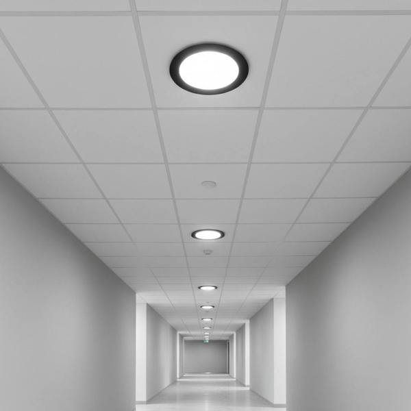 black low profile downlight installed into the ceiling of an office hallway