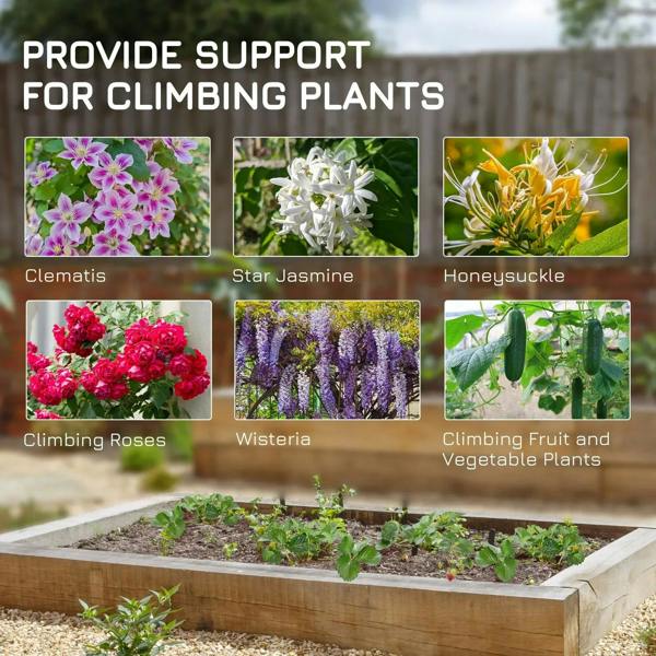 Raised garden bed with climbing plants and a trellis support display background